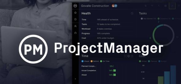 ProjectManager features and Alternatives tools