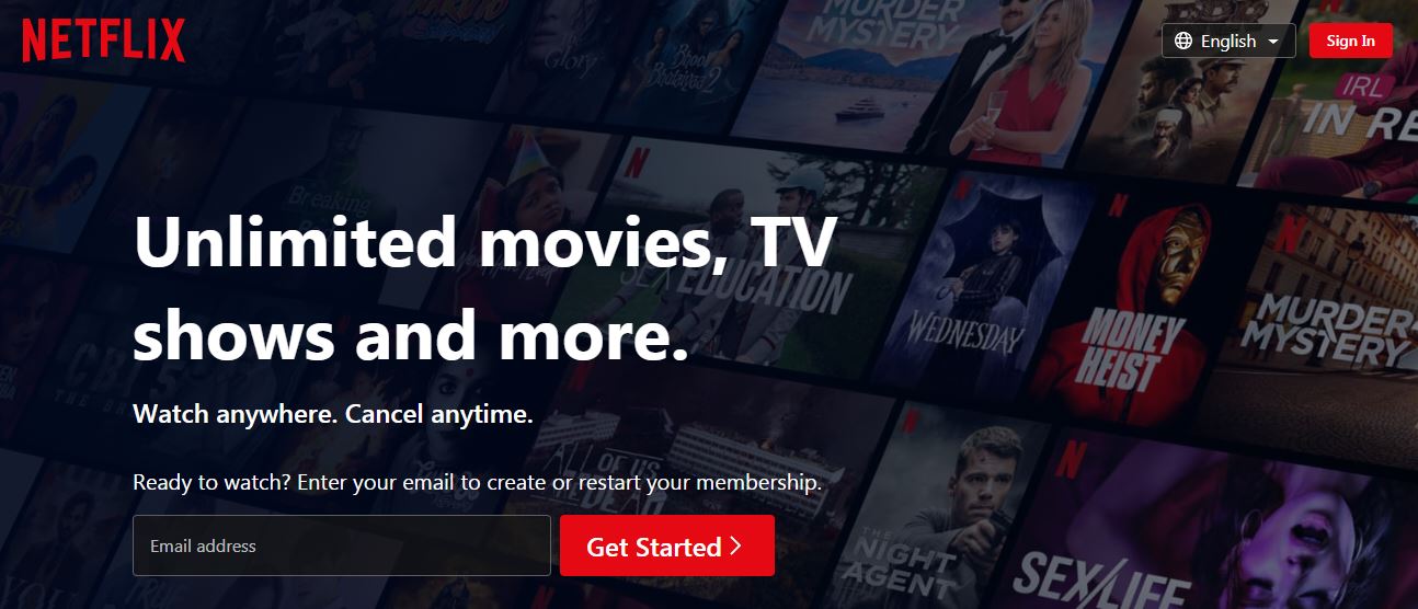 Netflix and Their Alternatives