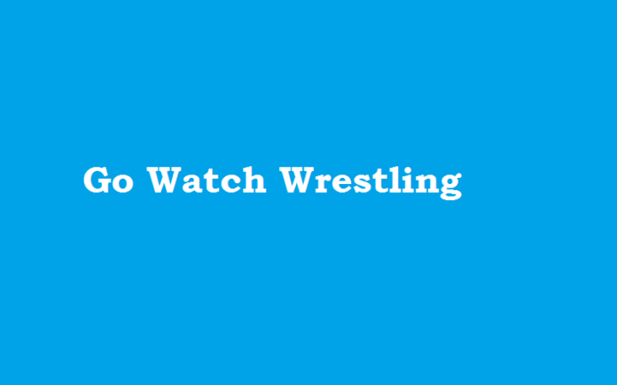 Go Watch Wrestling